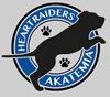 Heartraiders Akatemia